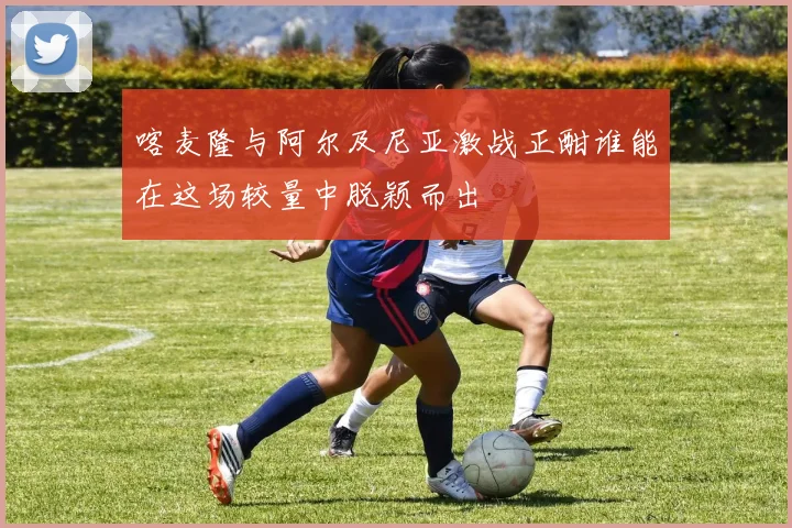 喀麦隆与阿尔及尼亚激战正酣谁能在这场较量中脱颖而出