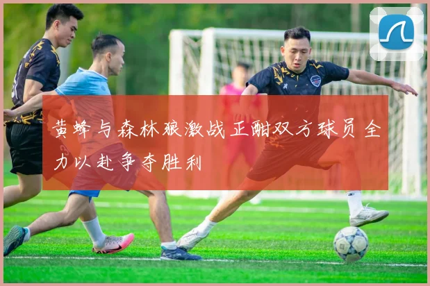 黄蜂与森林狼激战正酣双方球员全力以赴争夺胜利