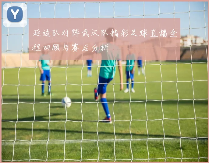 延边队对阵武汉队精彩足球直播全程回顾与赛后分析