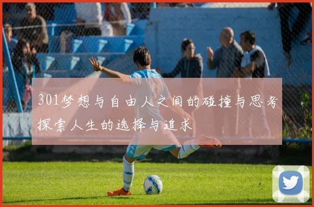 301梦想与自由人之间的碰撞与思考探索人生的选择与追求